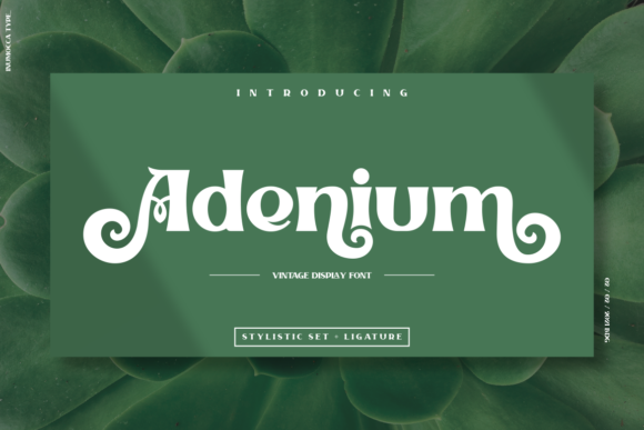 Adenium: A Unique Display Font for Web Design